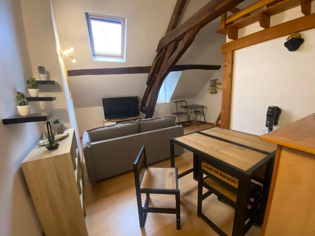 Le Puits Du Bourg Lejlighed Nevers Eksteriør billede